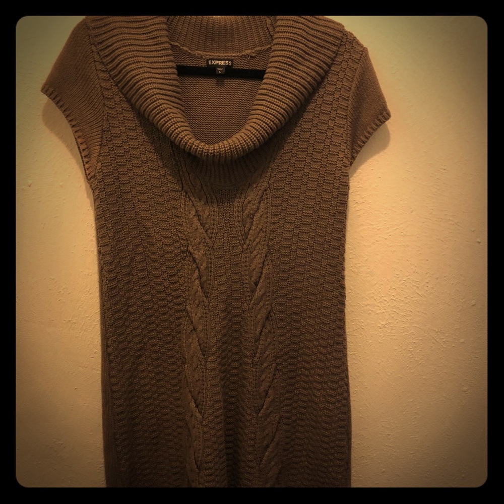Express size L knit dress